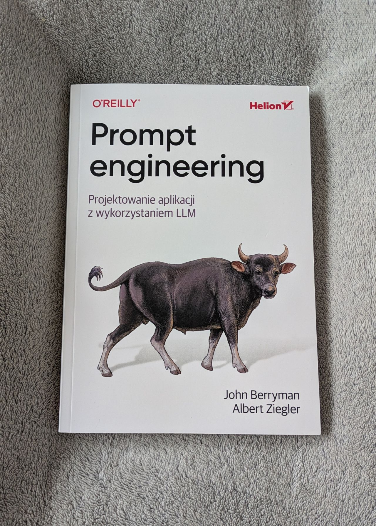 Prompt engineering. Projektowanie aplikacji z wykorzystaniem LLM – recenzja